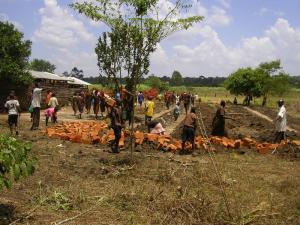 4 During breaktime the children helped to move the bricks