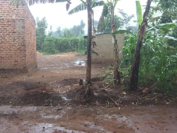 23 When it rains it rains!